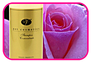 Vellus Shampoo Concentrate Vellus Shampoo Concentrate